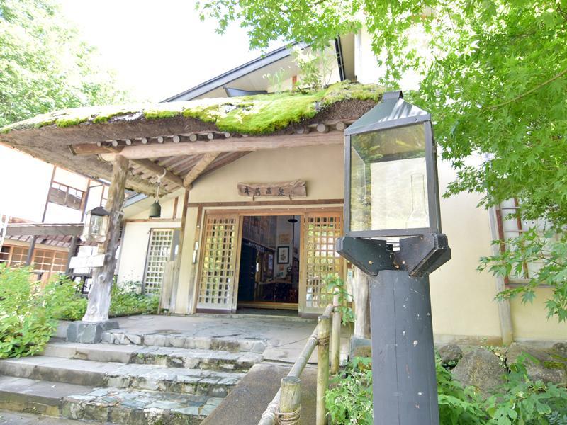 Lamp No Yado Aoni Onsen Hotel Hirakawa Luaran gambar